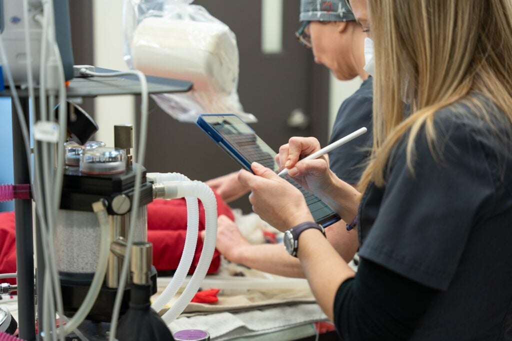 A veterinary technician diligently monitors a pet's vital signs on a tablet during a surgical procedure, showcasing our Aurora clinic's commitment to safety and advanced care.