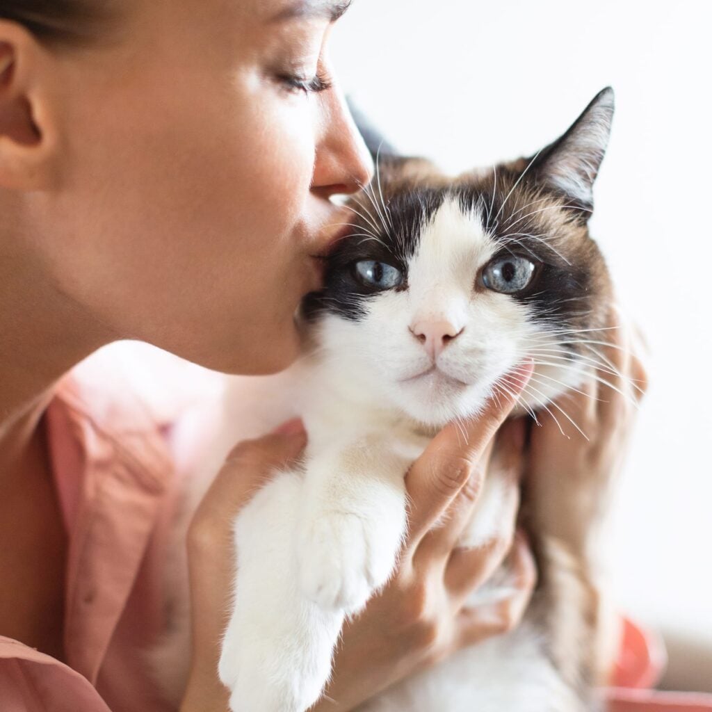 A young woman affectionately kissing her beautiful blue-eyed cat indoors.